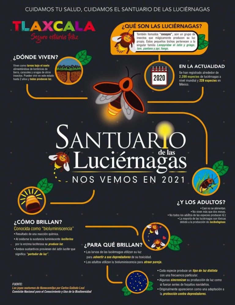 Lanza Secture Campaña ‘Cuidamos Tú Salud, Cuidamos el Bosque’