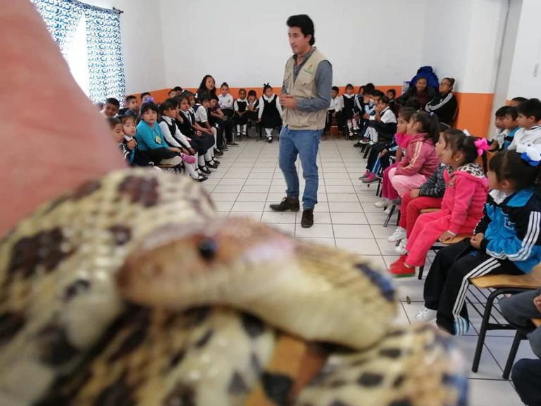 El Herpetario Kukulkan Busca Preservar la Fauna Endémica de Tlaxcala