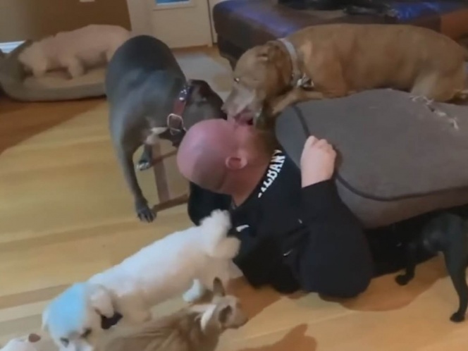 Pareja Cuida 20 Perros Rescatados y Discapacitados en su Casa