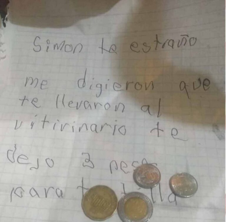 Niño le escribe cartas a Simón, el perrito que tuvo que abandonar