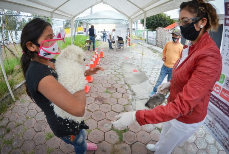 Arrancó Anabell en Ocotlán el Esterilitón Móvil 2020 Canino y Felino