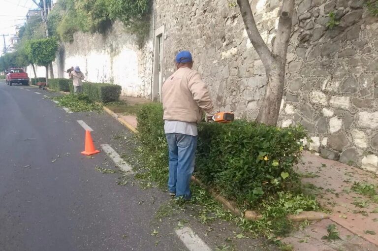 Realiza Ayuntamiento Limpieza Constante en Áreas Verdes