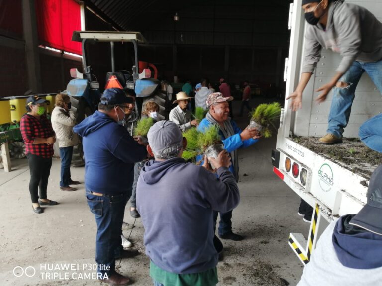 Secretaría del Bienestar Entrega 600 mil Árboles en 24 Municipios de Tlaxcala