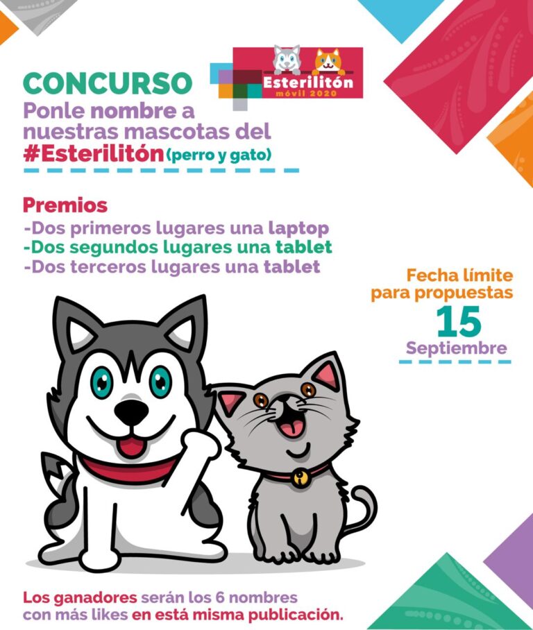 Convoca la Capital a Curso “Ponle Nombre a Nuestras Mascotas del Esterilitón”