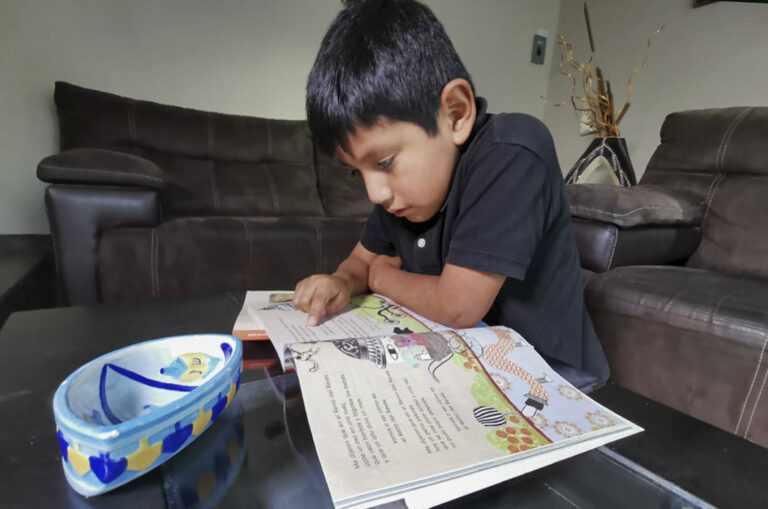 Libros de Texto, Herramienta Para el Aprendizaje: RLM