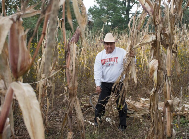 Don Pablo Flores Galicia Suma a Lorena y MORENA en el Distrito II