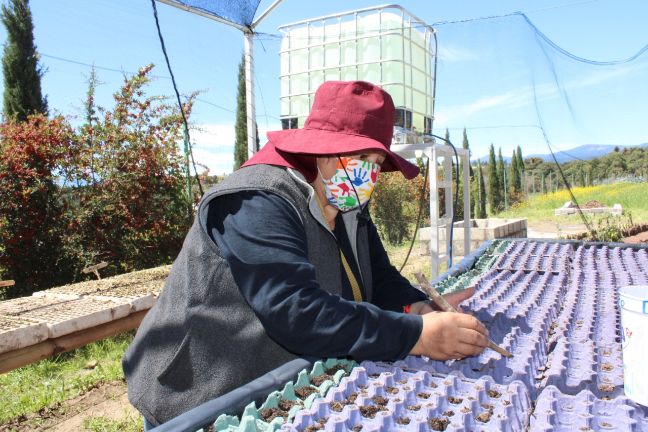 WhatsApp Image 2021-01-04 at 12.57.02