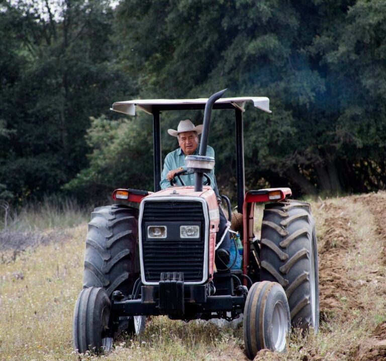 Cuauhtenco y MORENA van con don Pablo por el D-02 de Tlaxcala