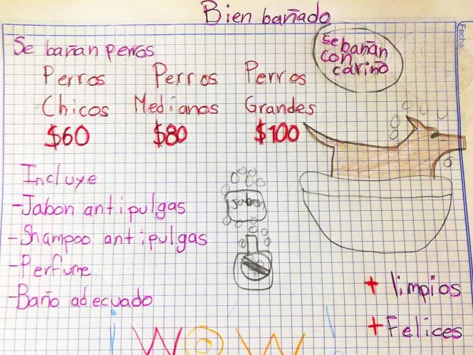 ‘Se bañan perritos con cariño’, niño inicia negocio para ahorrar