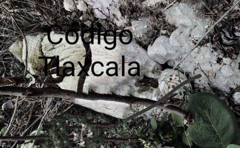 Encuentran Cuerpo Encobijado en la Carretera Arco Norte