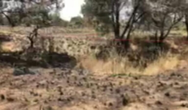 Encuentran Cuerpo sin Vida en San Diego Metepec