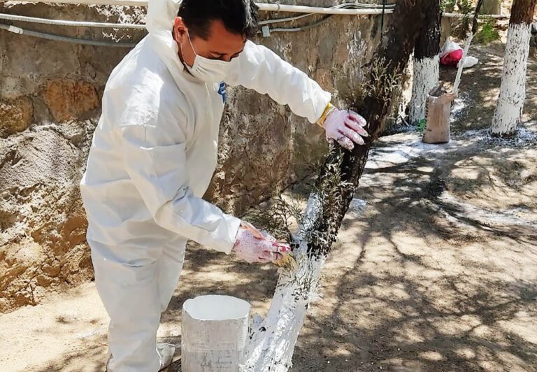 Realizan Campaña de Conservación de Espacios Naturales en Ciudad Judicial