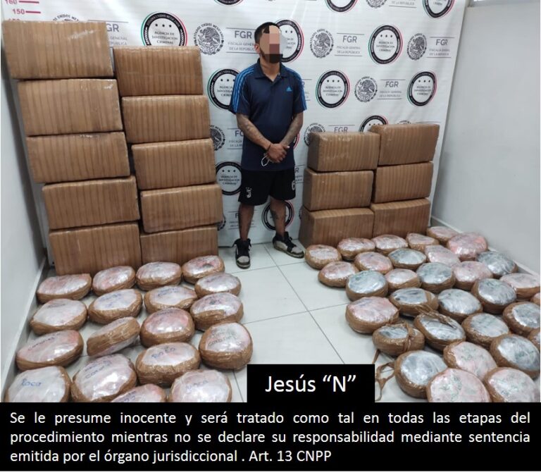 Detienen a Persona que Transportaba más de 300 kilos de Marihuana