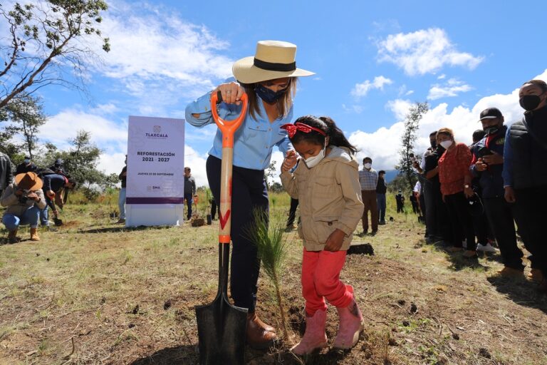 Primeros 100 Días: Arranca Lorena Cuéllar Reforestación de La Malinche
