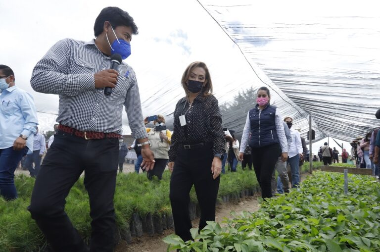 Entrega Lorena Cuéllar Desgranados a Campesinos y Verifica Avance del Programa «Sembrando Vida»
