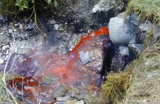 Propone ‘Fray Julián Garcés’ Meter Presión a Foro de la SEMARNAT