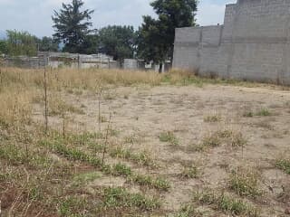 Reportan el Hallazgo de un Hombre sin Vida y sin Genitales en Tizatlán