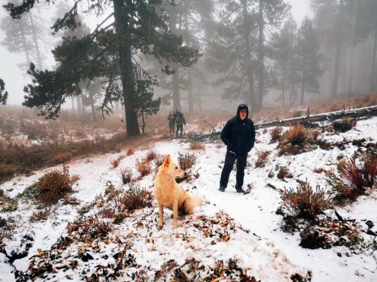 Primera Nevada de la Temporada Pinta de Blanco a Galeana, Nuevo León