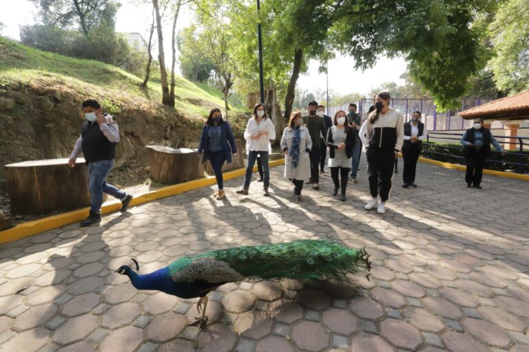 Supervisó Lorena Cuéllar Zoológico el Altiplano