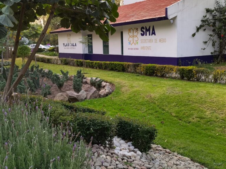 La SMA Invertirá 79.3 mdp en Siete Programas Este año