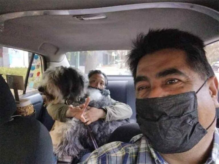 Taxista se hace viral por dar viajes para mascotas