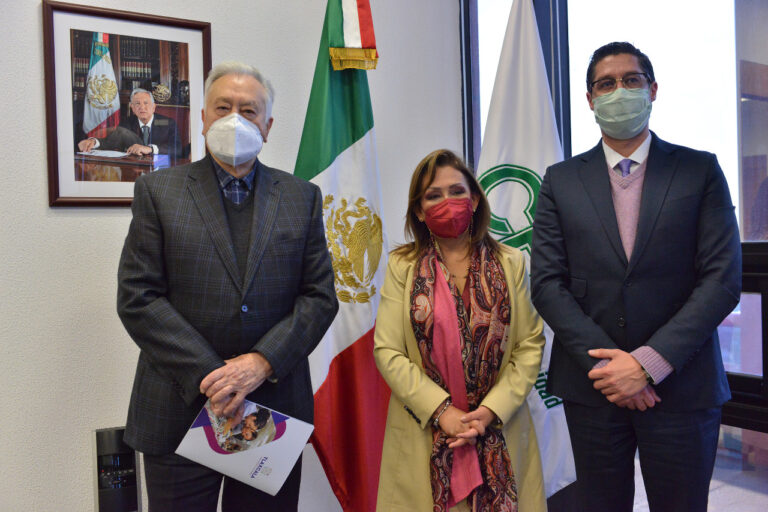 Impulsa Gobierno del Estado Proyectos en Materia de Consumo de Energía Eléctrica