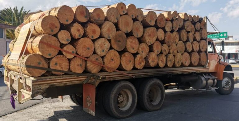 Aseguró la SSC dos Tractocamiones Cargados con Madera en Rollo