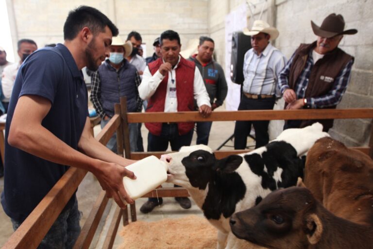 Impulsa Sefoa capacitación y colaboración entre productores a favor de la ganadería local