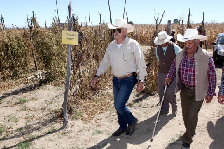 El Gobierno del Estado Impulsa al Campo Tlaxcalteca Mediante Apoyos Directos