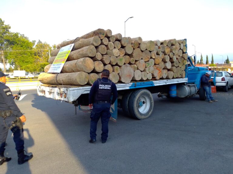 SSC detuvo a presunto responsable de transporte ilícito de recurso forestal
