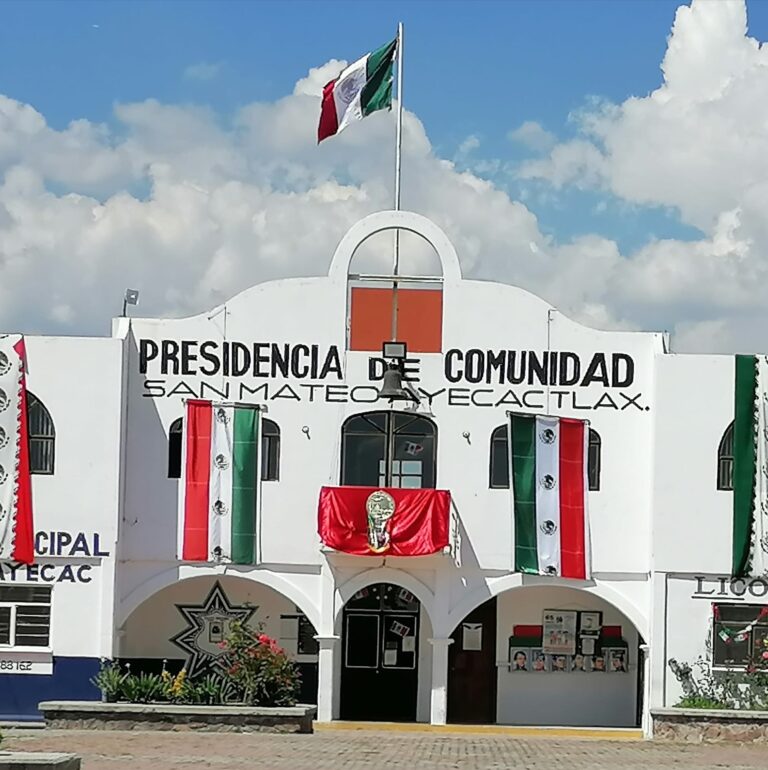 Localizan a un Joven Gravemente Herido con Orejas y Dedos Amputados