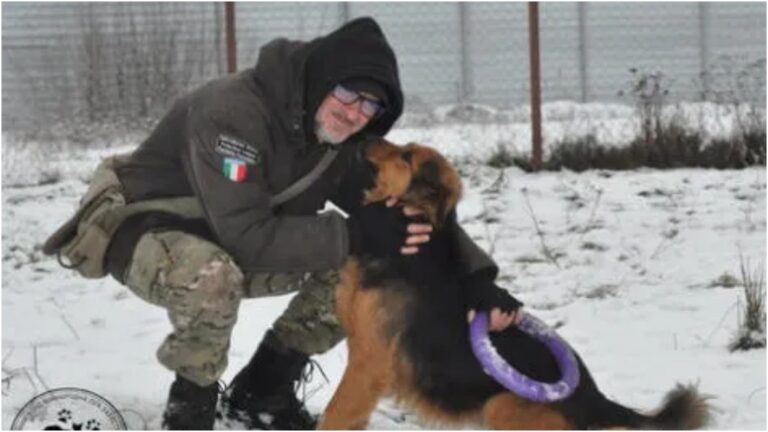«Prefiero morir con ellos», la historia del rescatista que cuida sus animales en Ucrania