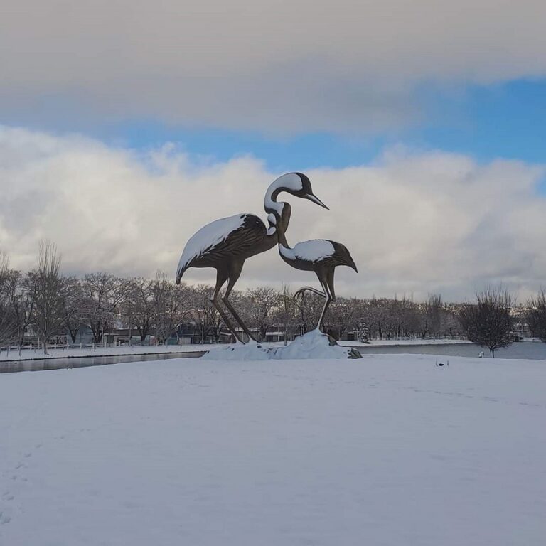 Frente Frío 28 Deja Hermosas Imágenes Nevadas en Guachochi, Chih.
