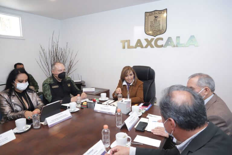 Solicitó INE Seguridad Para Organización de Revocación de Mandato