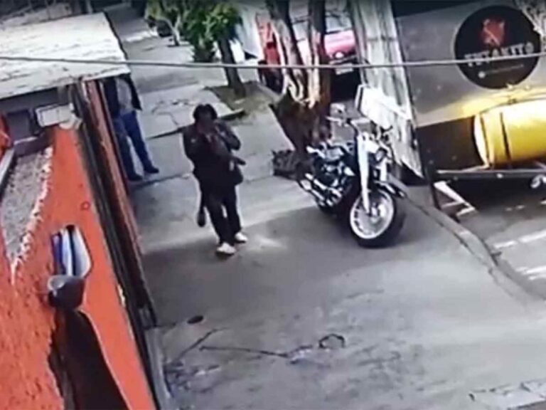 Video: Buscan a Hombre que Mata y Come Gatos en Azcapotzalco