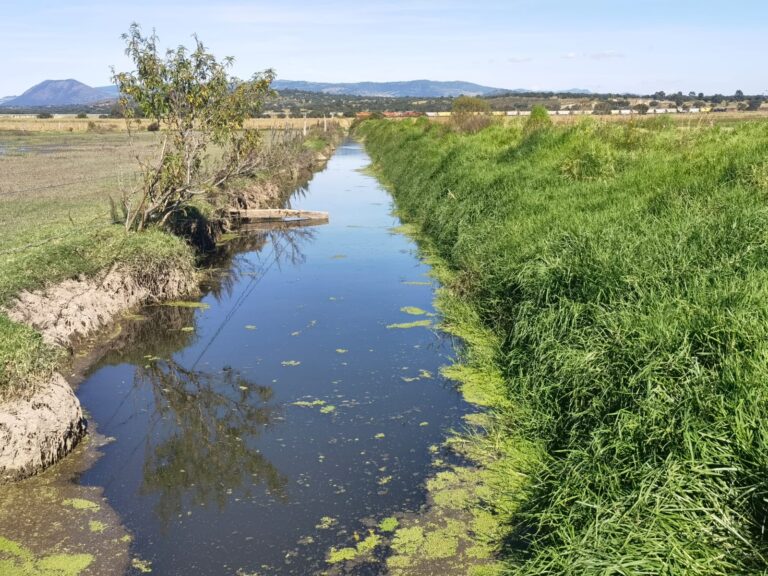 Suman Esfuerzos Para Mejorar la Calidad del Agua en Tlaxcala