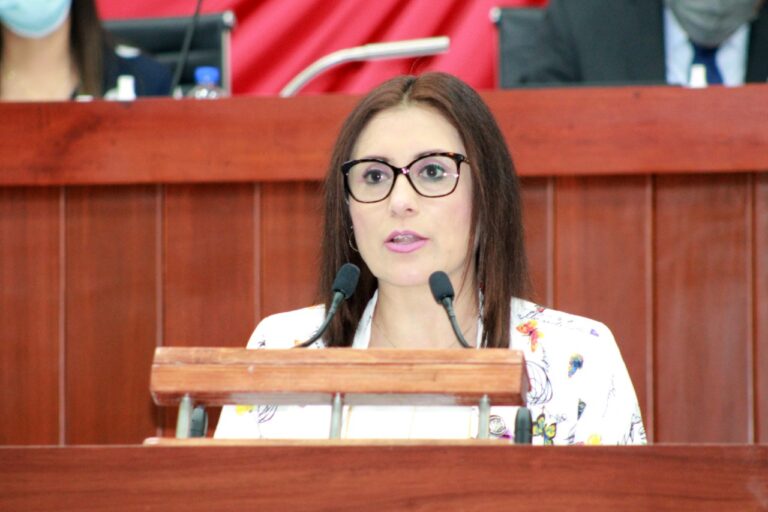 Eliminar la discriminación laboral a mujeres por embarazo; iniciativa de la diputada Reyna Flor Báez