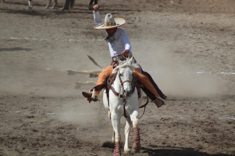 Empiezan a acomodarse equipos rumbo al Estatal