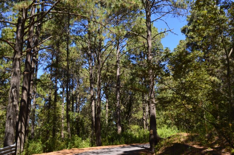 SMA y CONANP firmaron convenio para actualizar programas de áreas naturales protegidas