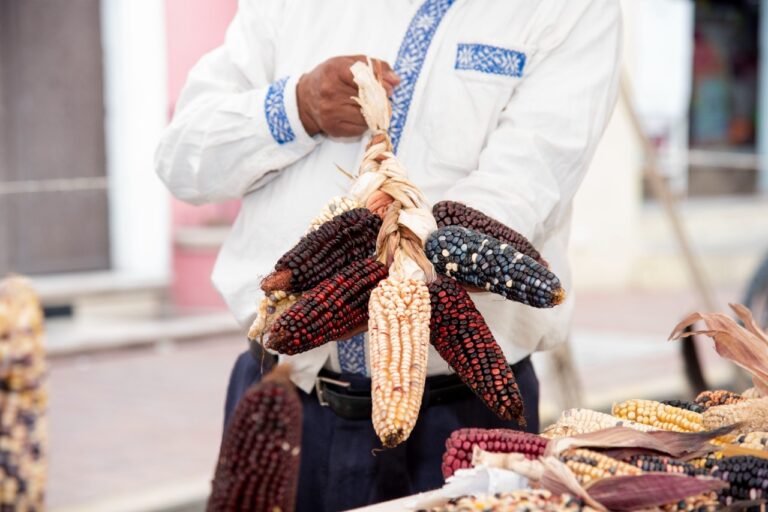 En Ixtenco se Celebró con Éxito la Edición 10 del Festival del Maíz
