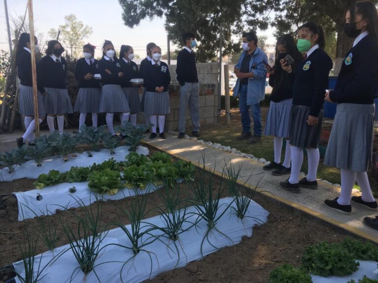 SEPE-USET retoma visitas guiadas para alumnos al invernadero de la dependencia