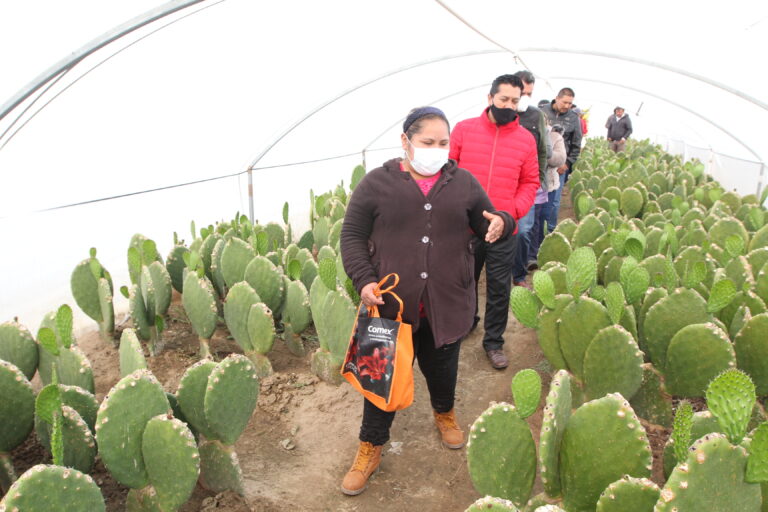 Impulsa Gobierno del Estado desarrollo rural a través de programas