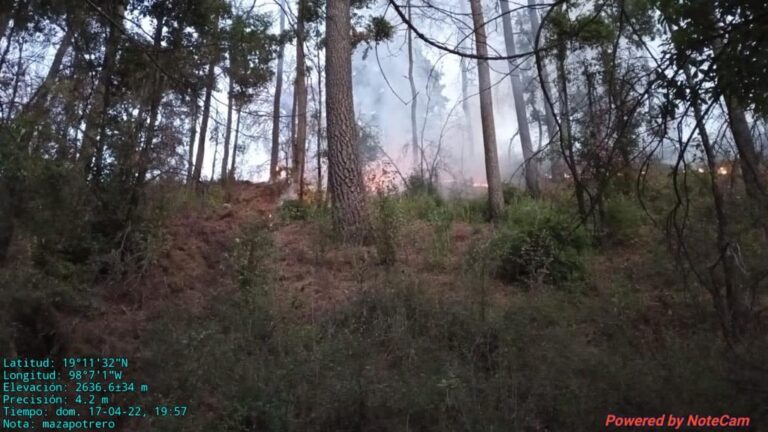 SMA realiza acciones de protección de la Malinche en Semana Santa