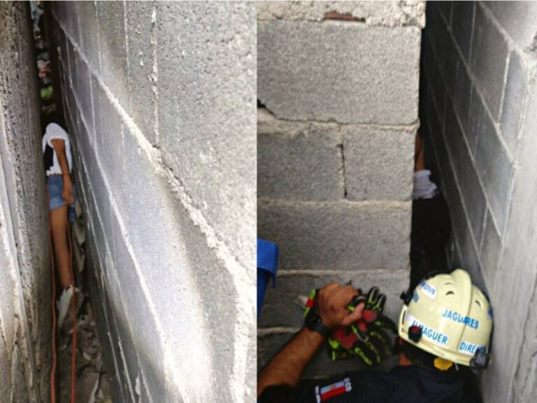 Niña intenta rescatar a dos gatitos y queda atrapada entre dos muros