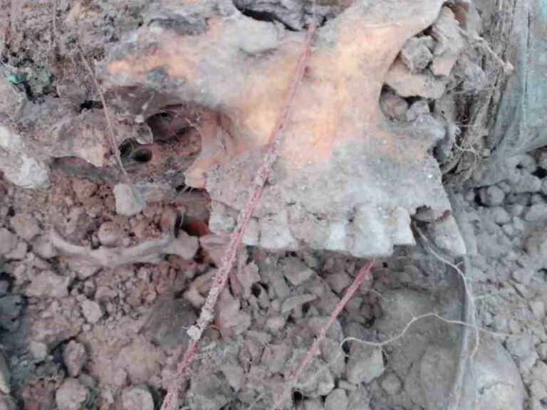 Fundadora de Madres Rastreadoras encuentra a su hijo en fosa clandestina