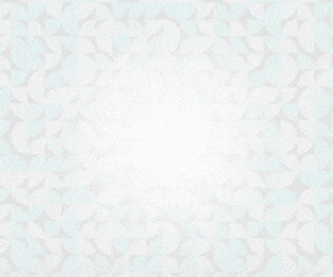 PA_300X250PX (1) (1)