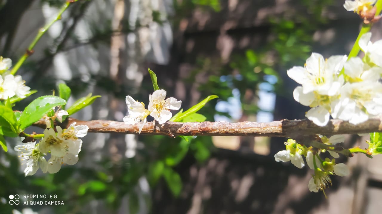 WhatsApp Image 2022-04-02 at 12.40.33 PM (1)