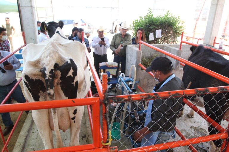 Con asistencia técnica y capacitación se produce leche de calidad: SIA