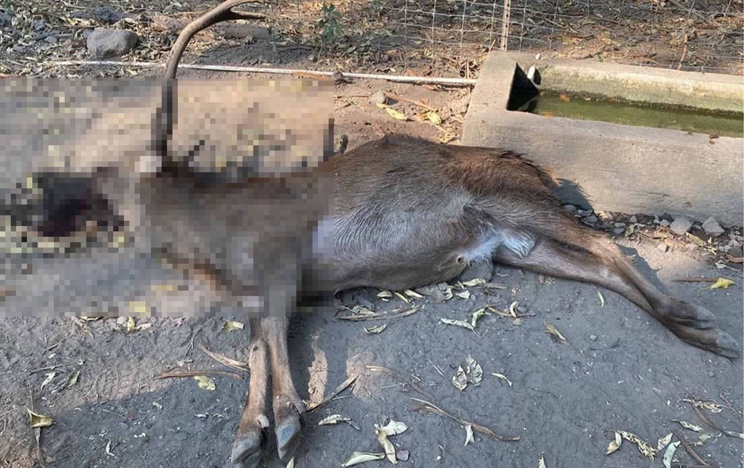 20220530035931-0-1936018