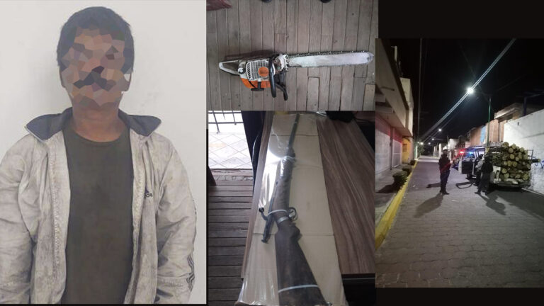SSC Detuvo a Persona por Transportar Troncos y Arma de Fuego en SPM